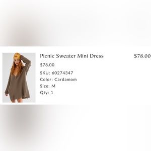 Free people beach picnic sweater mini dress